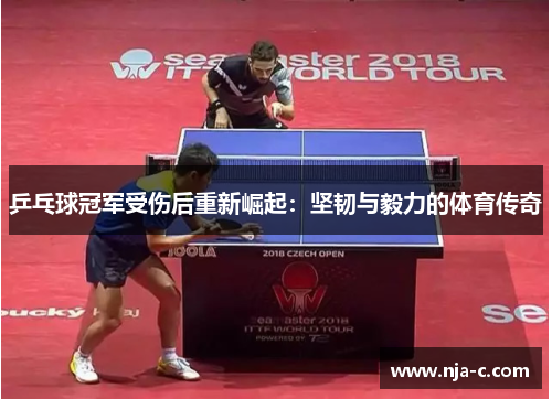 乒乓球冠军受伤后重新崛起：坚韧与毅力的体育传奇
